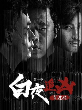 白夜追凶第一季重逢版封面图