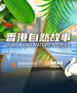 海报背景
