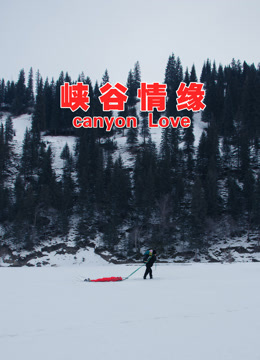 海报背景