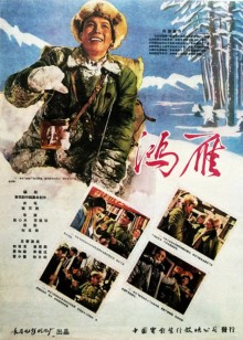 鸿雁封面图