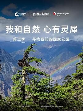 海报背景