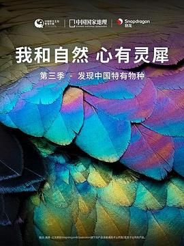 海报背景