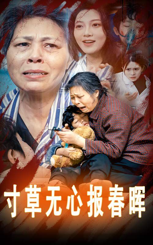 寸草无心报春晖-孝子慈孙封面图