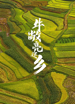 海报背景