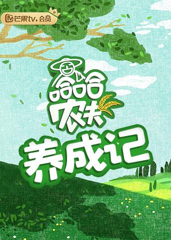 海报背景