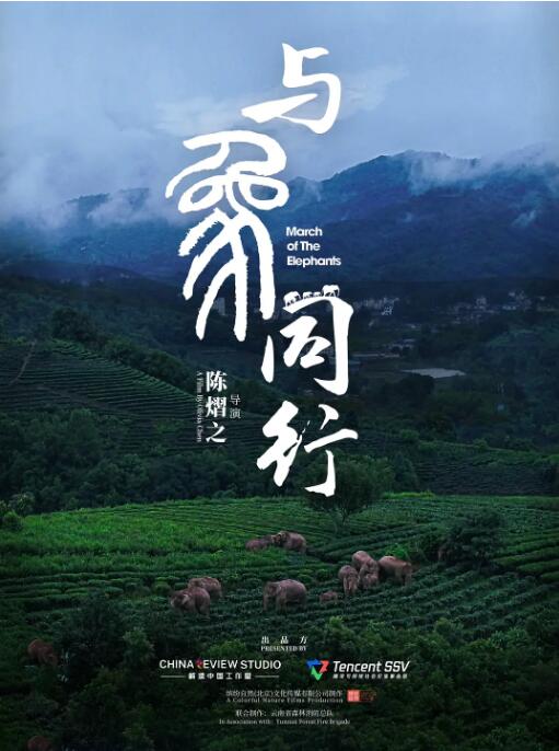 海报背景
