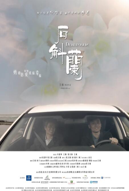 海报背景