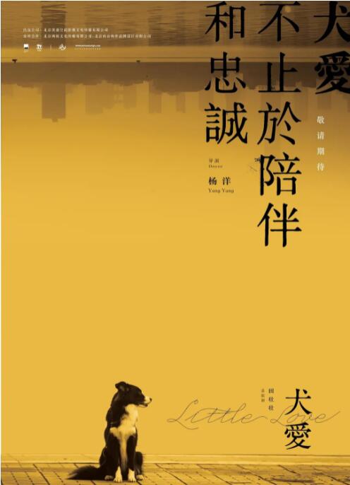 海报背景