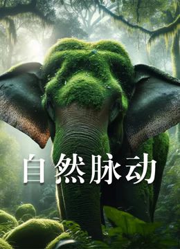 海报背景