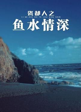 瓷都人之鱼水情深封面图