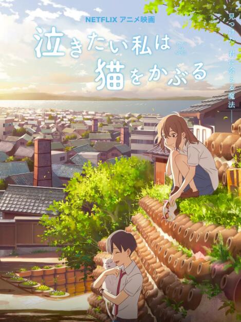 海报背景