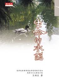 海报背景
