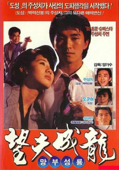 望夫成龙封面图