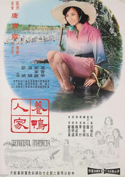 海报背景
