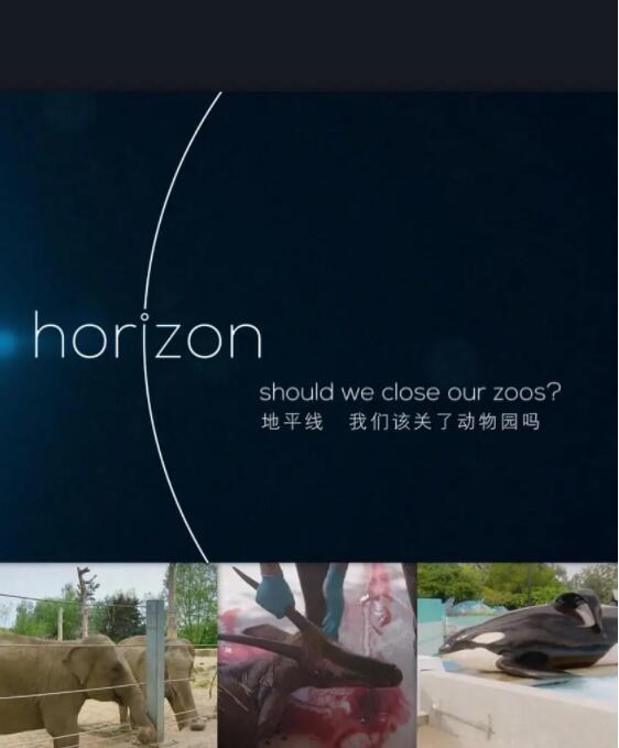 海报背景