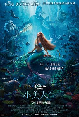 小美人鱼的奇幻冒险封面图