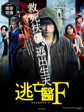 逃亡Flukt封面图