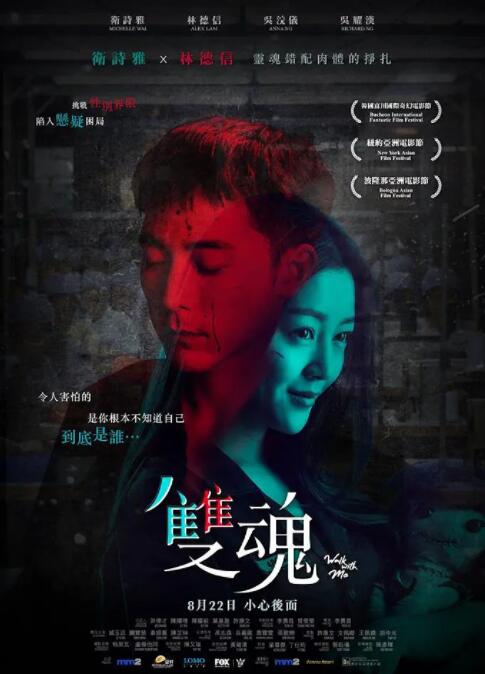 双魂封面图