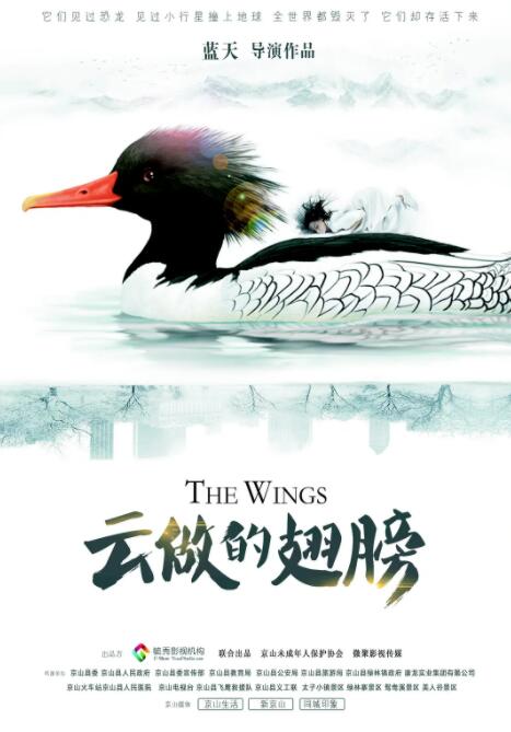 海报背景