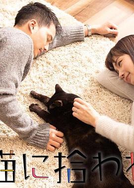 被流浪猫捡到的男人封面图