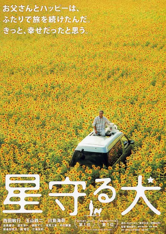 海报背景