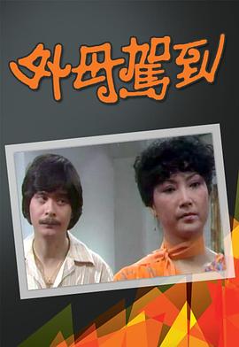 外母驾到粤语封面图