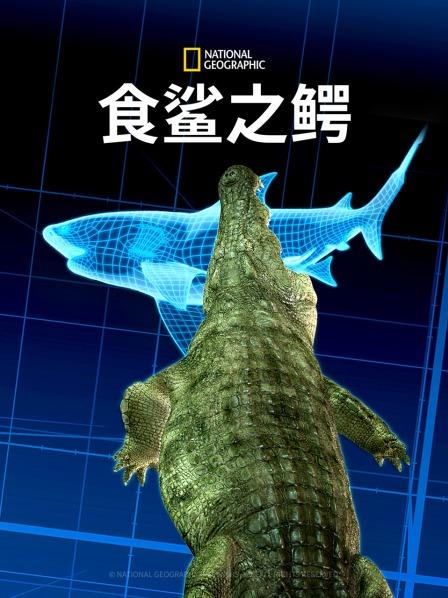 海报背景