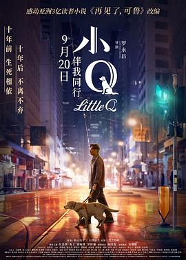 小Q封面图