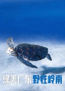 海报背景