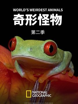 海报背景