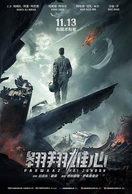 翱翔雄心【影视解说】封面图