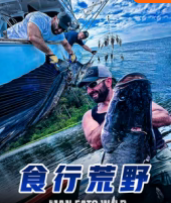 海报背景