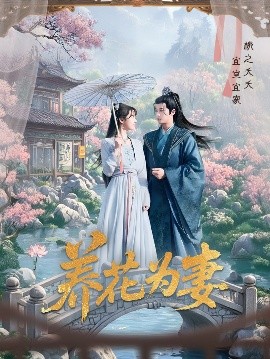 海报背景